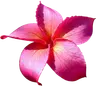Profile picture of Oragnizers
